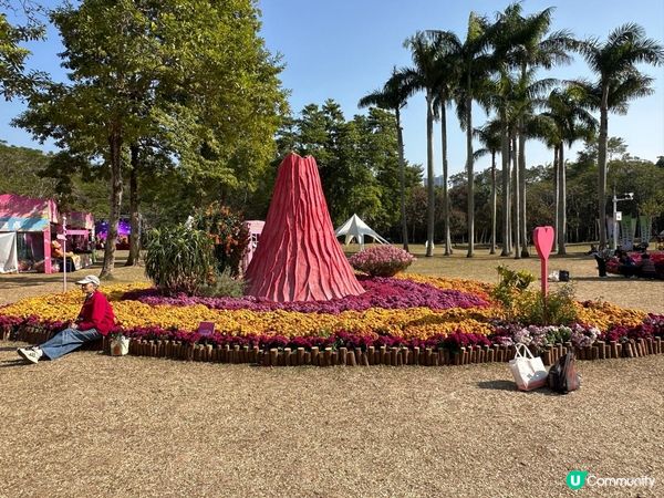 令人失望的深圳東湖公園菊花展