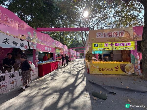 令人失望的深圳東湖公園菊花展