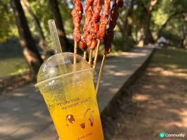 令人失望的深圳東湖公園菊花展