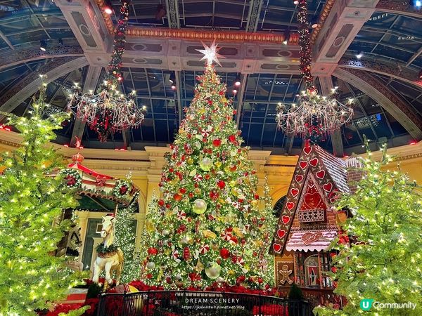 【美國-Las Vegas】2024冬季│Bellagio餐廳、健身房及花園介紹│百樂宮酒店 Bellagio