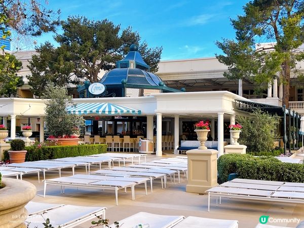 【美國-Las Vegas】2024冬季│Bellagio餐廳、健身房及花園介紹│百樂宮酒店 Bellagio