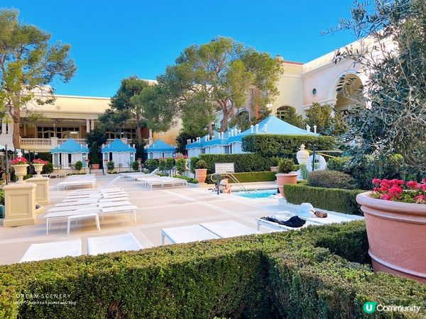 【美國-Las Vegas】2024冬季│Bellagio餐廳、健身房及花園介紹│百樂宮酒店 Bellagio