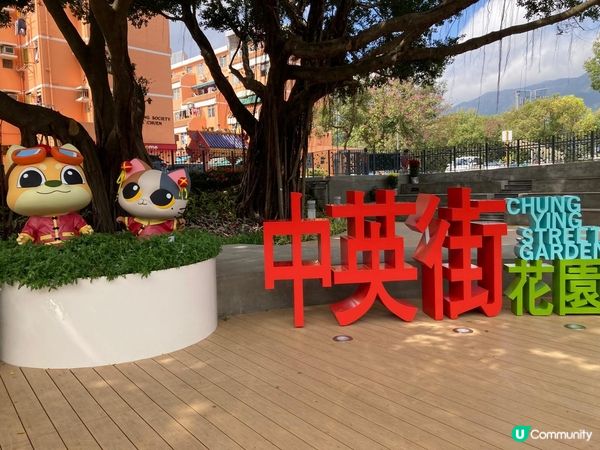 沙頭角