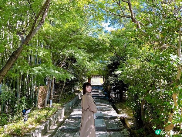 【日本-京都】京都幽靜一隅│禪意與藝術交會│高台寺