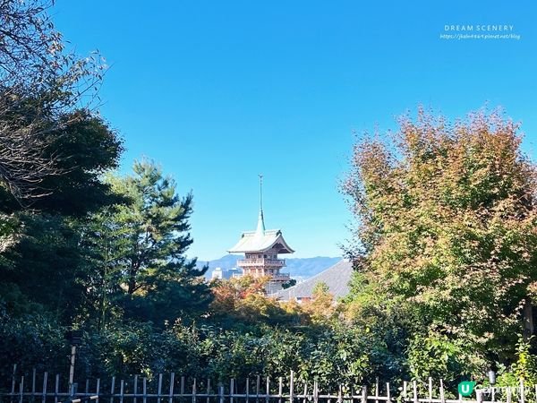 【日本-京都】京都幽靜一隅│禪意與藝術交會│高台寺