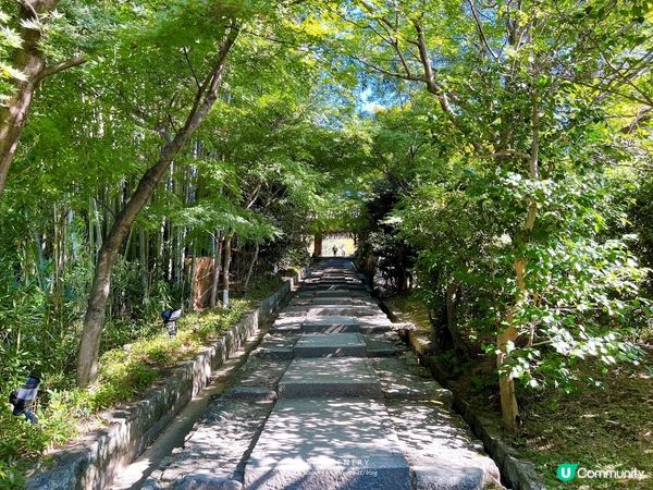 【日本-京都】京都幽靜一隅│禪意與藝術交會│高台寺