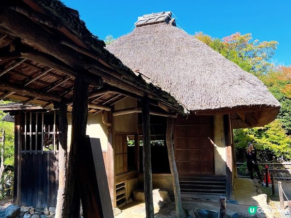 【日本-京都】京都幽靜一隅│禪意與藝術交會│高台寺