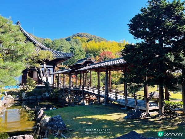 【日本-京都】京都幽靜一隅│禪意與藝術交會│高台寺