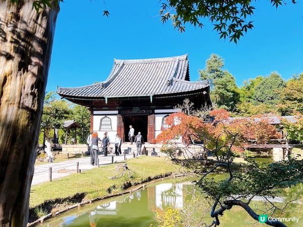 【日本-京都】京都幽靜一隅│禪意與藝術交會│高台寺