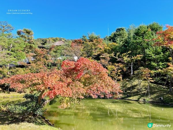 【日本-京都】京都幽靜一隅│禪意與藝術交會│高台寺