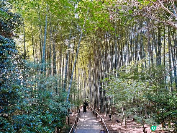 【日本-京都】京都幽靜一隅│禪意與藝術交會│高台寺