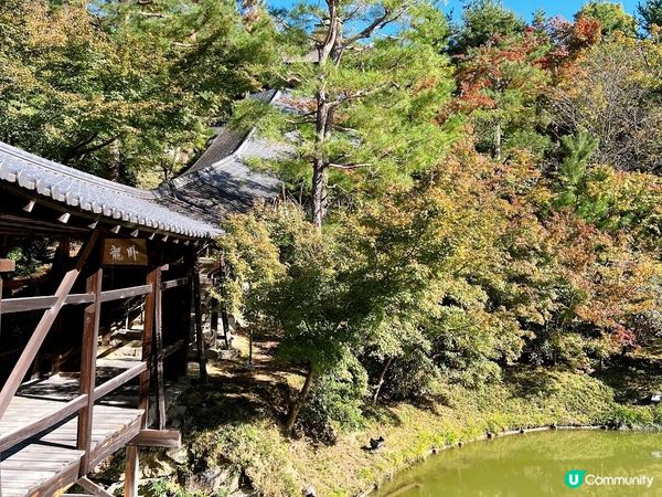 【日本-京都】京都幽靜一隅│禪意與藝術交會│高台寺