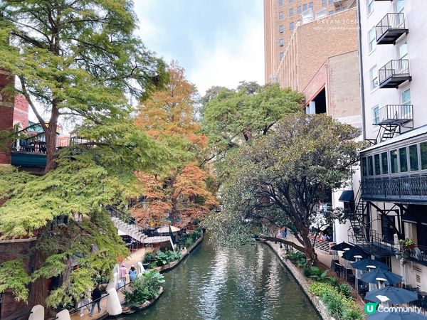 【美國-Texas】聖安東尼奧一日遊│River Walk、阿拉莫、歷史市集、購物中心