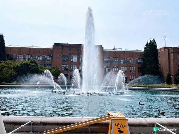 【美國- Seattle】西雅圖的霍格華茲│必訪西雅圖景點│Suzzallo and Allen Libraries