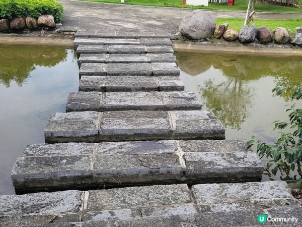 地表最狂石林！⛰️ 廣西富川神劍石林！📸