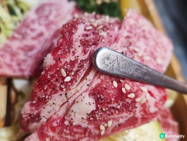 吹住海風好Chill又睇埋狗狗嘅台灣菜餐廳！