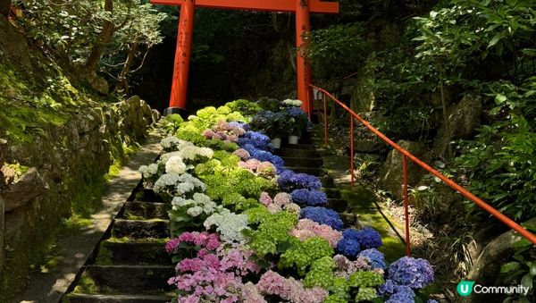 我最鐘意去嘅西九文化區，可以散下步睇下風景。仲有好鐘意尋找香...