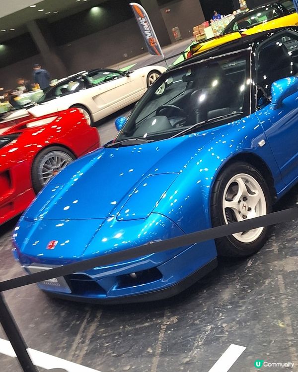 睇車展