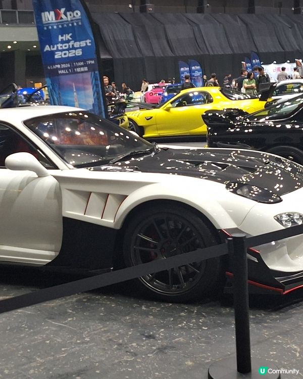 睇車展