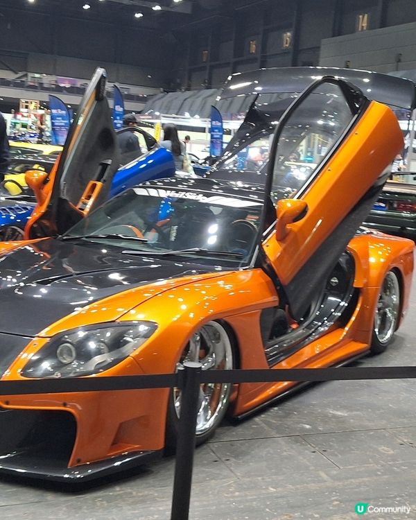 睇車展