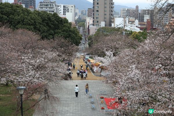 福岡市賞櫻景點，西公園係日本百大賞櫻景點。喺呢個可以一覽博多...