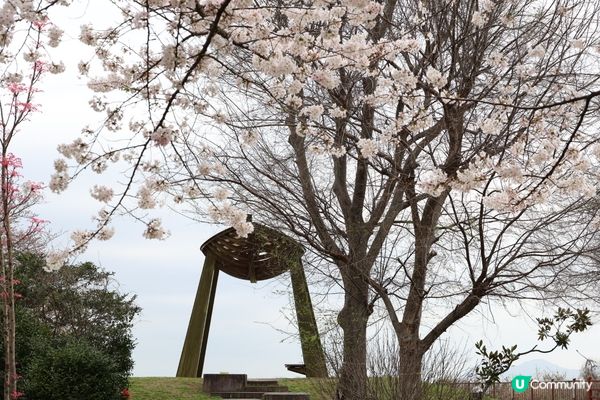 福岡市賞櫻景點，西公園係日本百大賞櫻景點。喺呢個可以一覽博多...