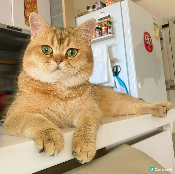 係咪食緊好野唔預我 我𥄫實你架👁️👁️