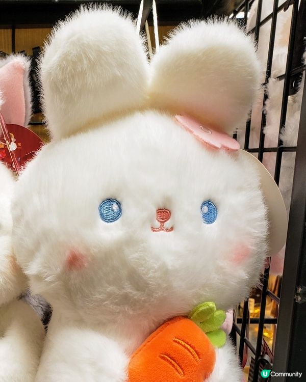 🐰超治癒復活節兔兔登場！超可愛想抱抱🥰