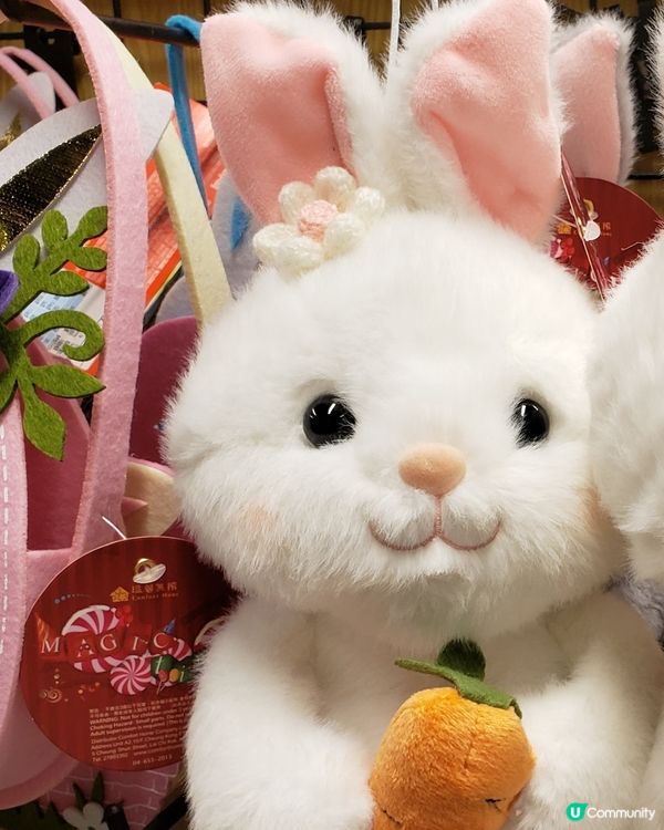 🐰超治癒復活節兔兔登場！超可愛想抱抱🥰