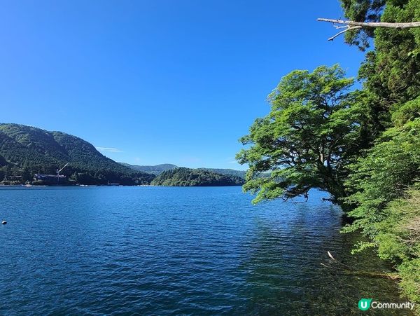 早起的人兒唔使排隊有鳥居影