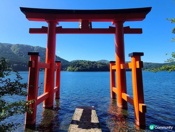 早起的人兒唔使排隊有鳥居影