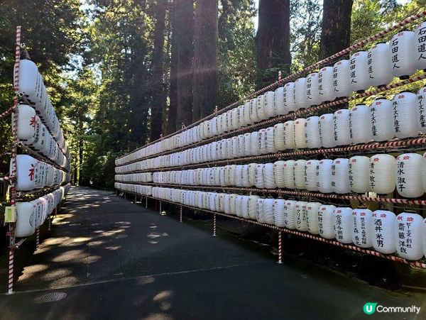 早起的人兒唔使排隊有鳥居影