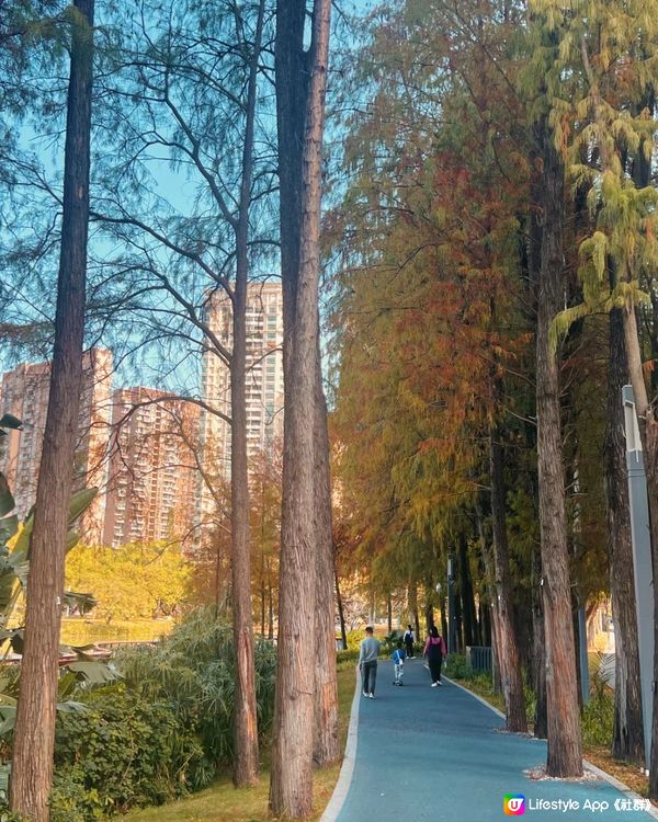 深圳Citywalk‼️南山蛇口一日遊詳細路線‼️