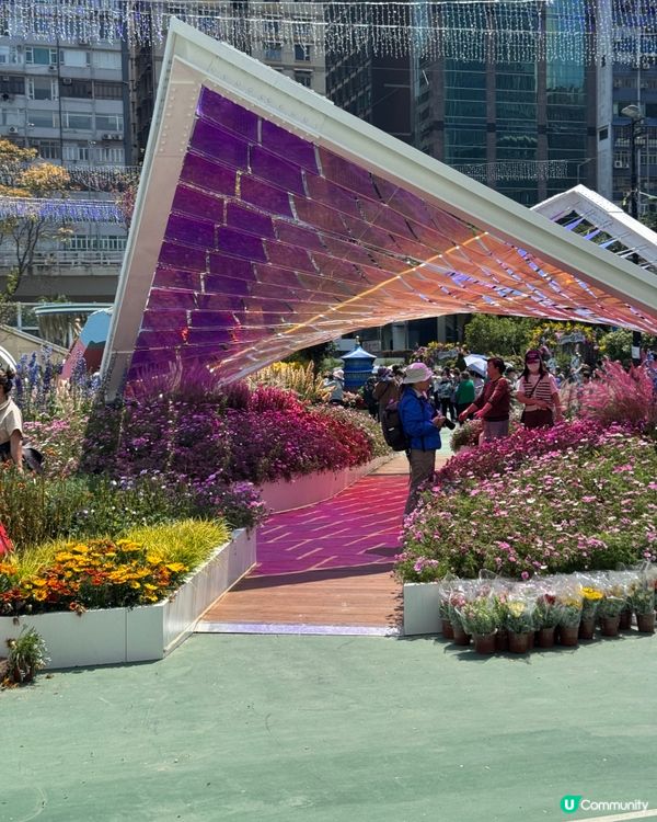 香港花卉展2025。走進繽紛的童話世界🌸🌼🌷🪻💐最後3日‼️
