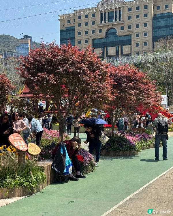 香港花卉展2025。走進繽紛的童話世界🌸🌼🌷🪻💐最後3日‼️