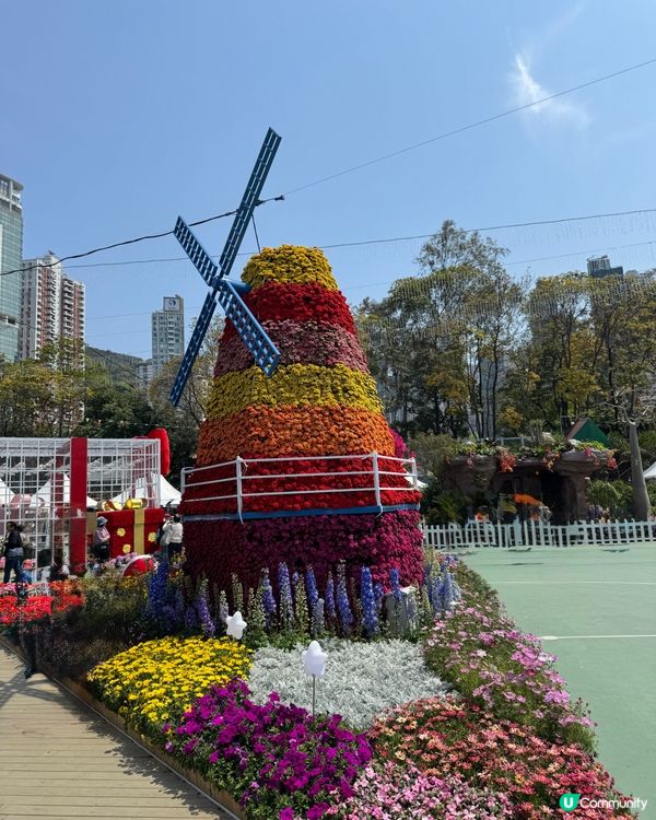 香港花卉展2025。走進繽紛的童話世界🌸🌼🌷🪻💐最後3日‼️