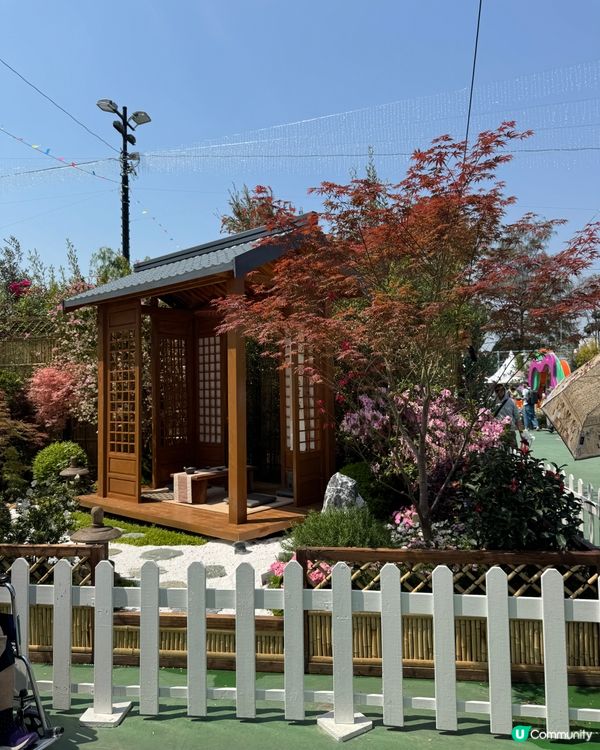 香港花卉展2025。走進繽紛的童話世界🌸🌼🌷🪻💐最後3日‼️