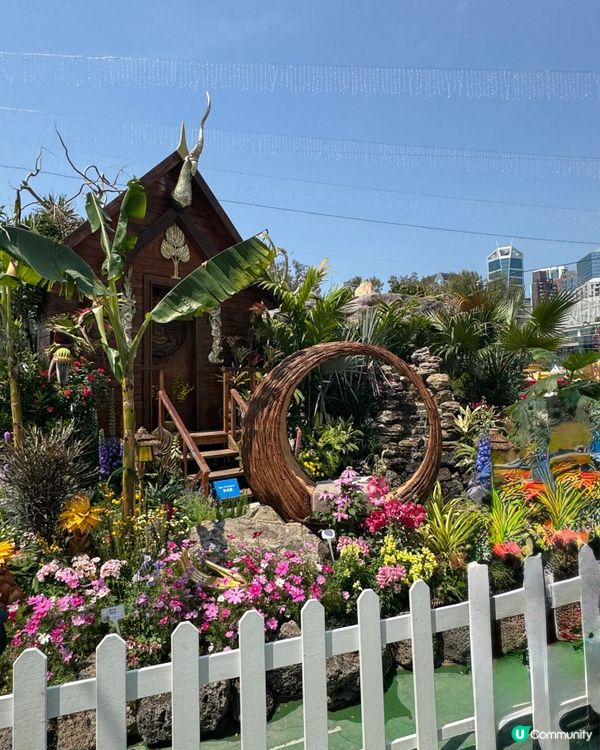 香港花卉展2025。走進繽紛的童話世界🌸🌼🌷🪻💐最後3日‼️