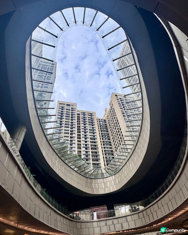 陶陶居正到爆🤤 粵菜控衝衝衝⋯⋯