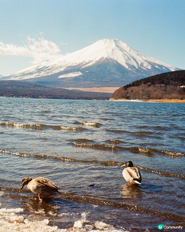 富士山🗻幸運之旅🥰🥹