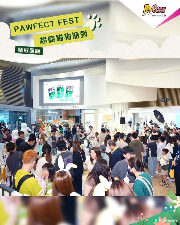 PopCorn 萌寵戶外放電樂園