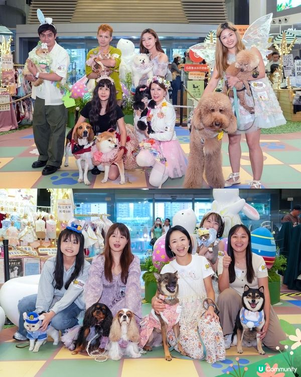 PopCorn 萌寵戶外放電樂園