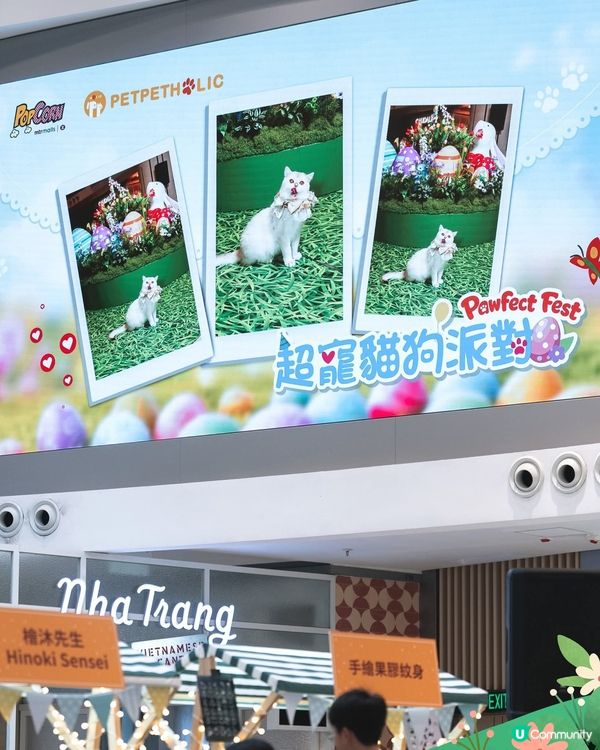 PopCorn 萌寵戶外放電樂園