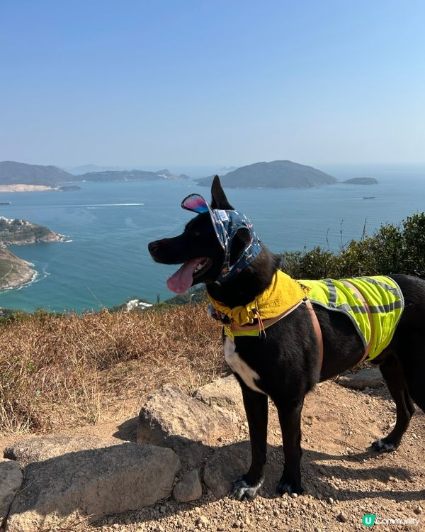 ⛰️靚景歎足3小時！