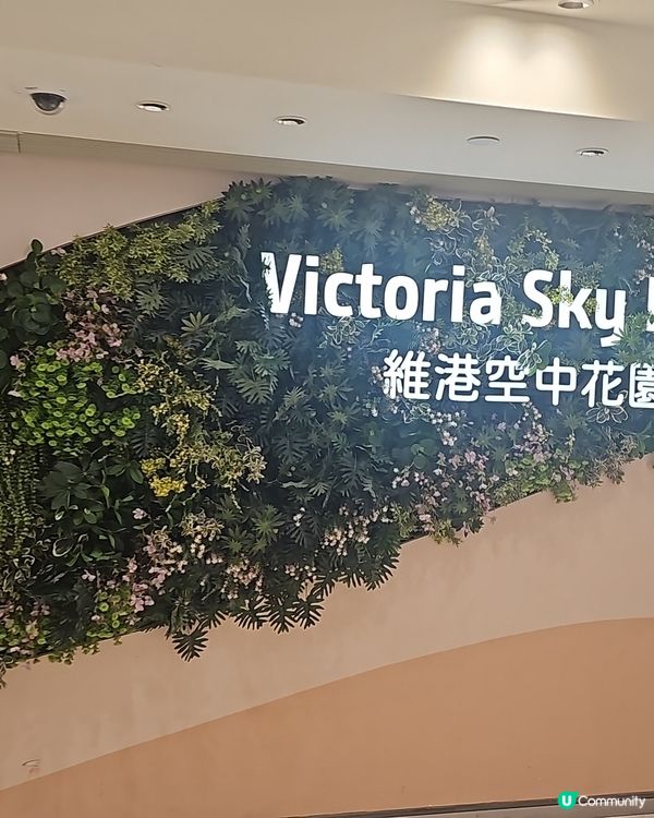 銅鑼灣新寵點！🐶☕️