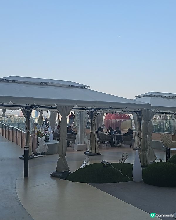 銅鑼灣新寵點！🐶☕️