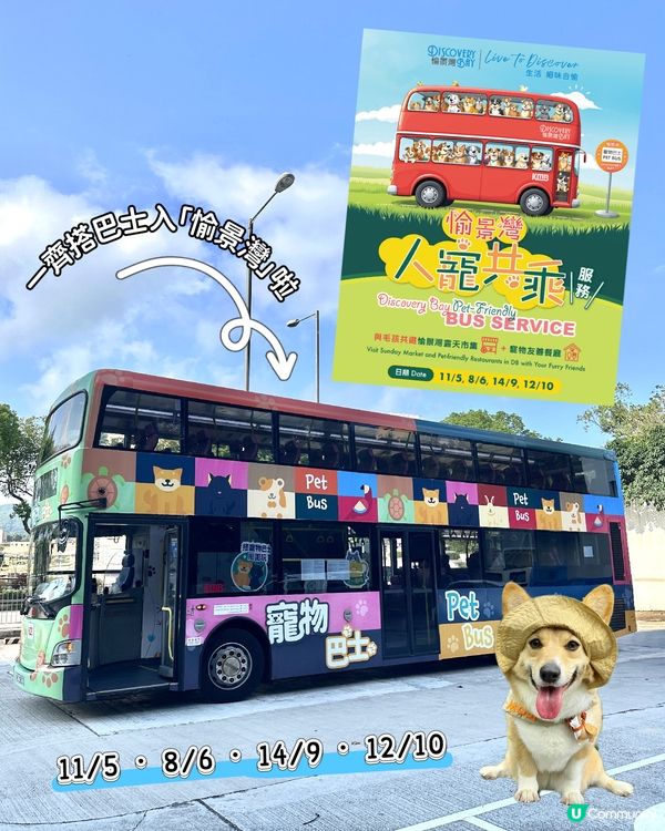 「人寵共乘巴士」