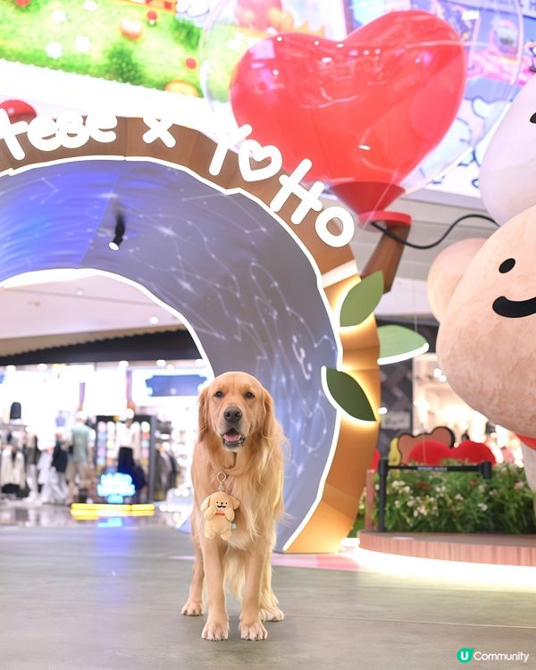 「MALTESE X YOHO 夏日心友會」