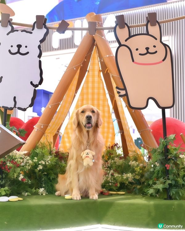 「MALTESE X YOHO 夏日心友會」