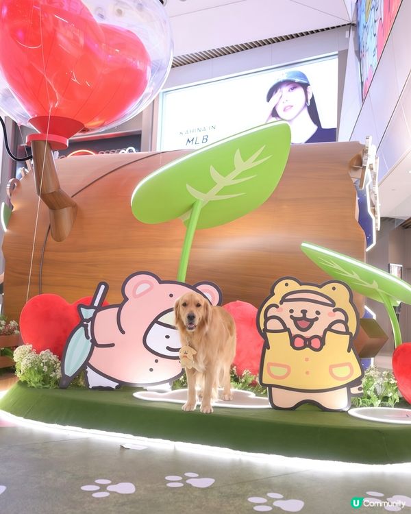 「MALTESE X YOHO 夏日心友會」